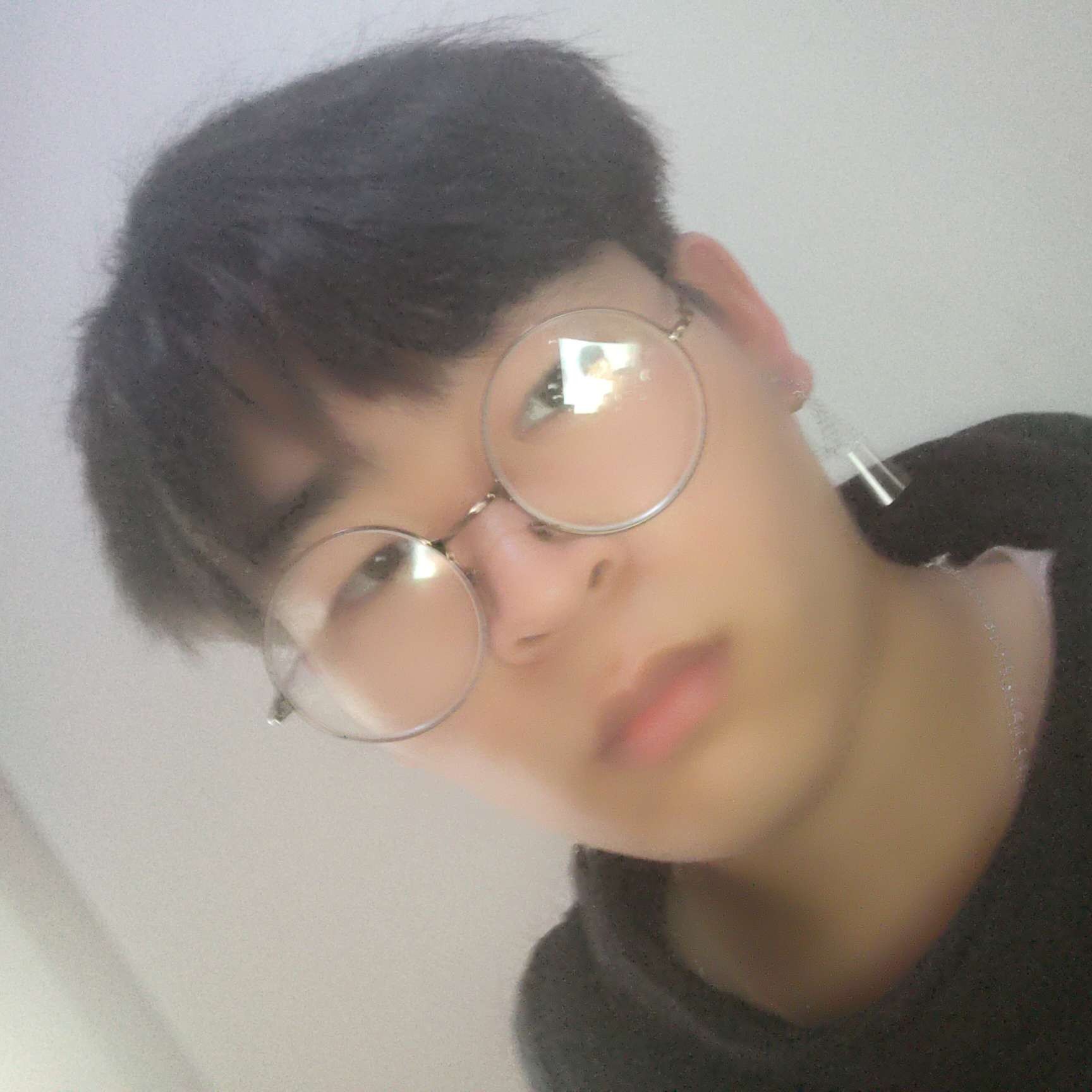莫菊的照片