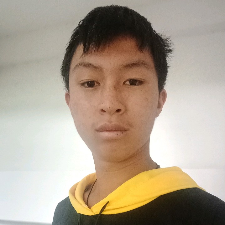 大雁拿愤怒的照片