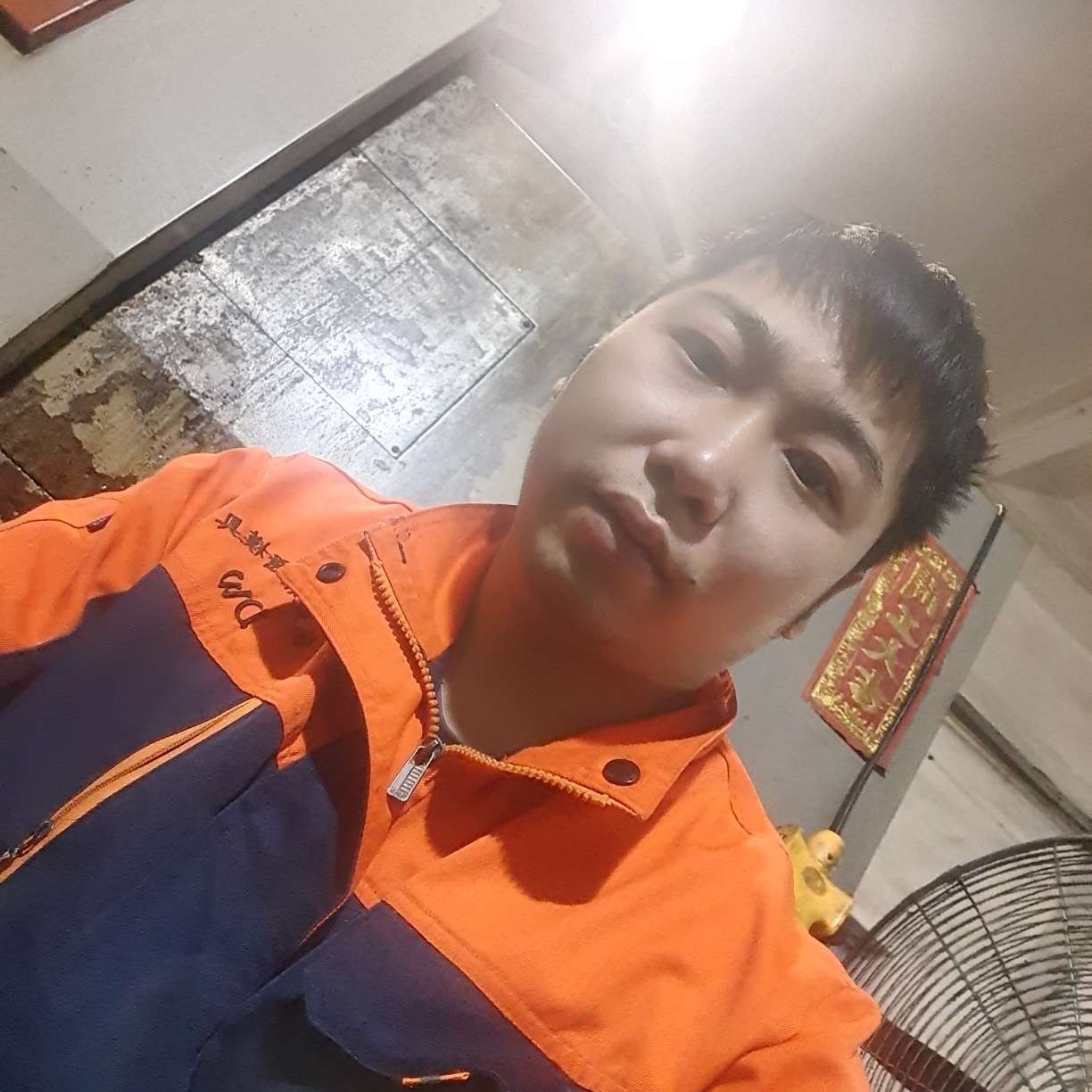 碧蓝拾忆荷花的照片