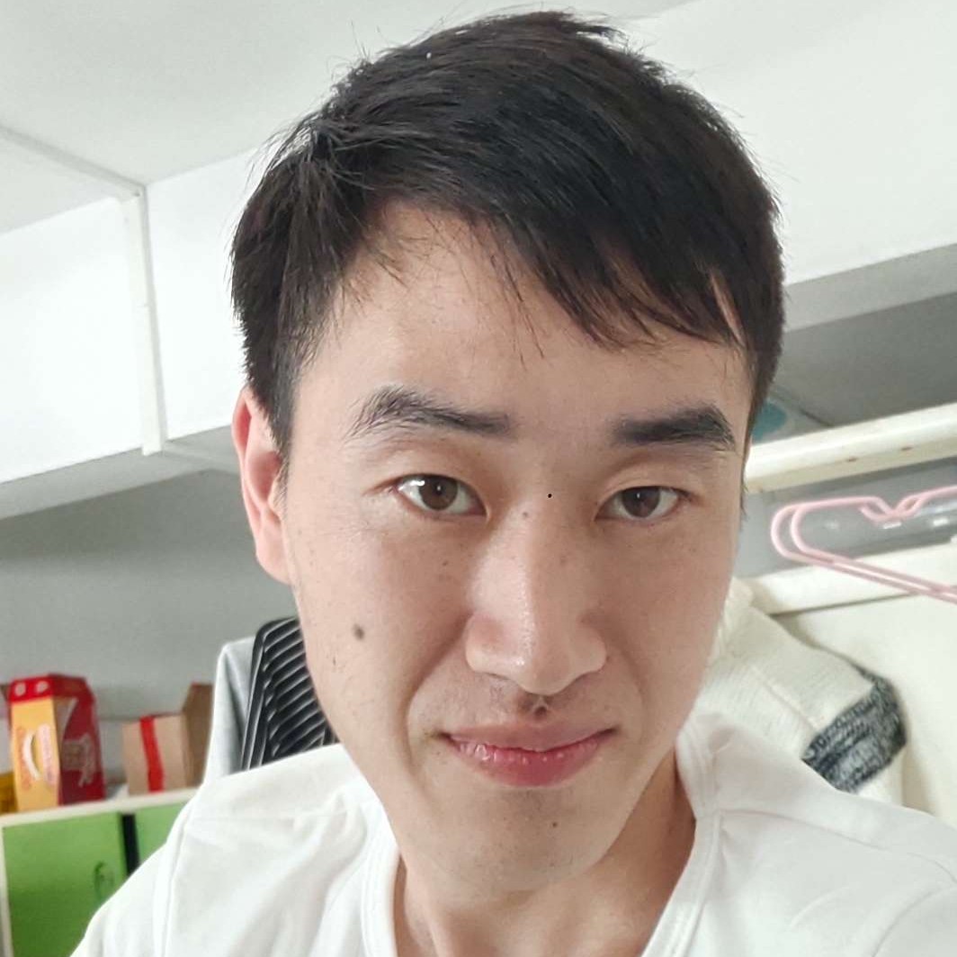 迷人小海豚的照片