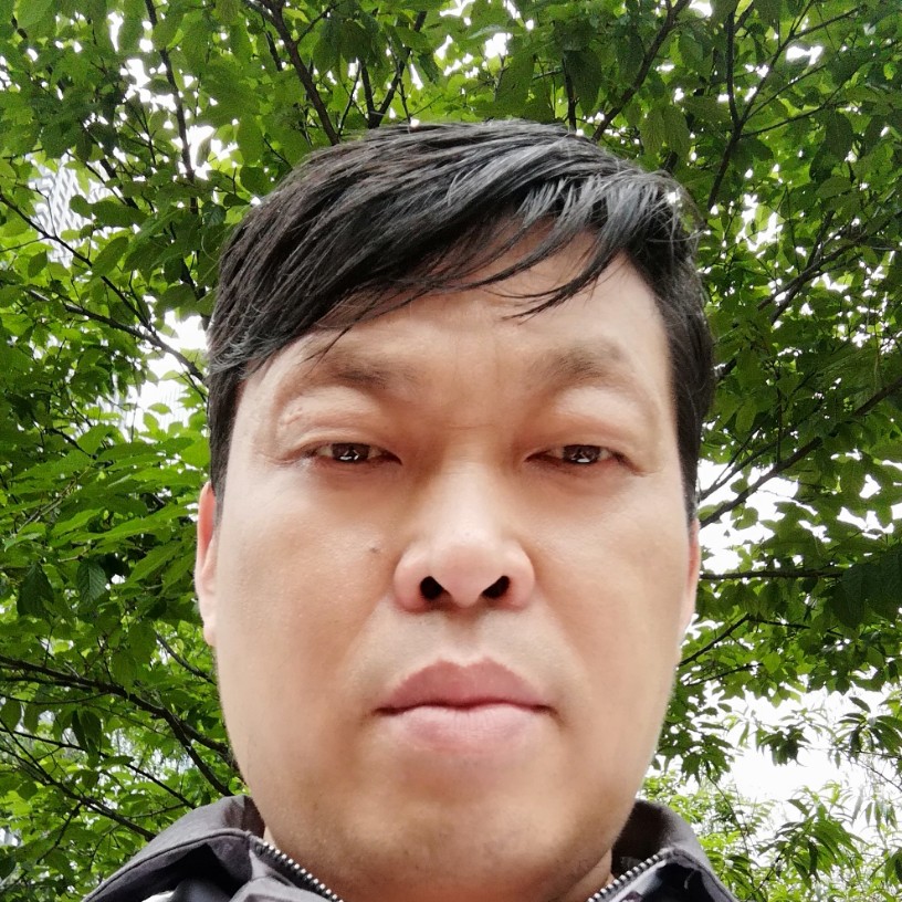 不听话的那小刺猬的照片