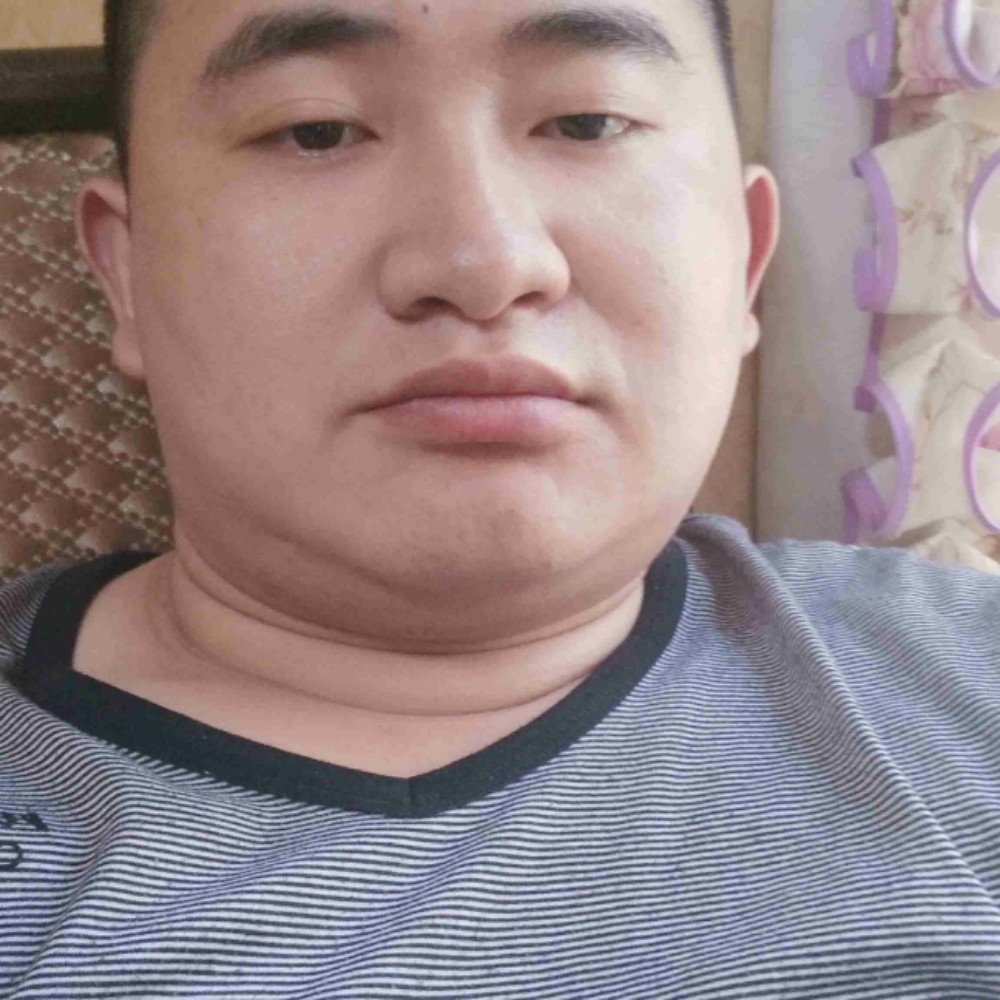 纸鹤用积极的照片