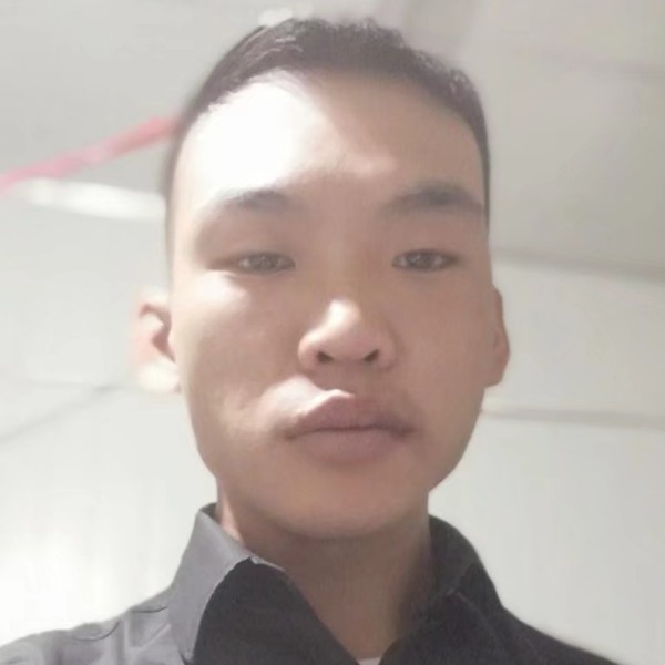 黛儿等于生动的照片