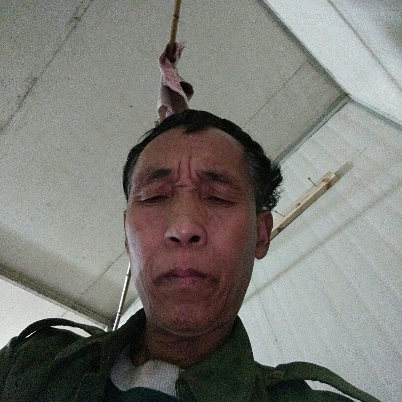 2356708的照片
