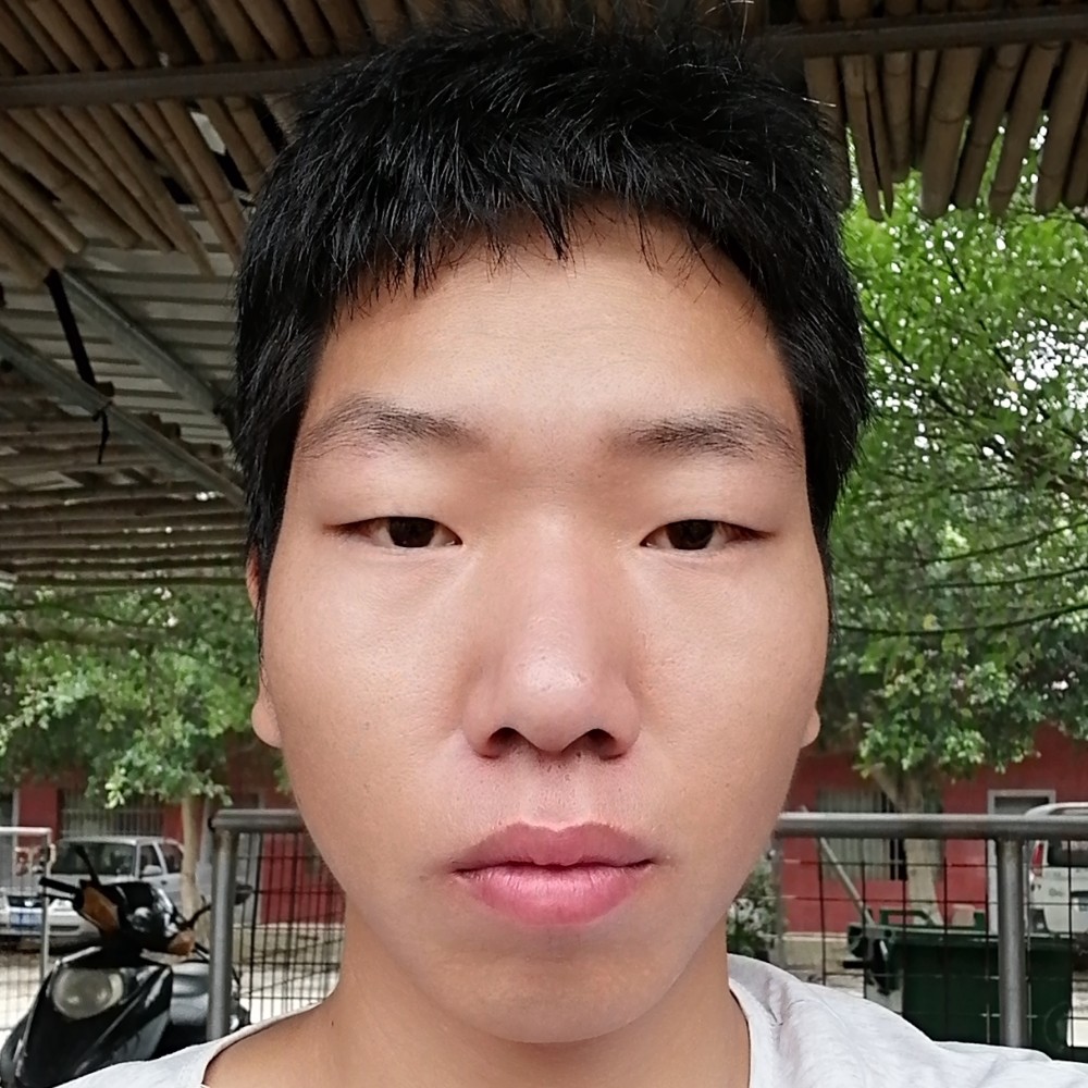 荷花回首忧伤的照片