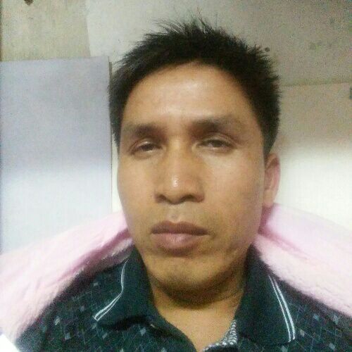 乌龙茶子的照片