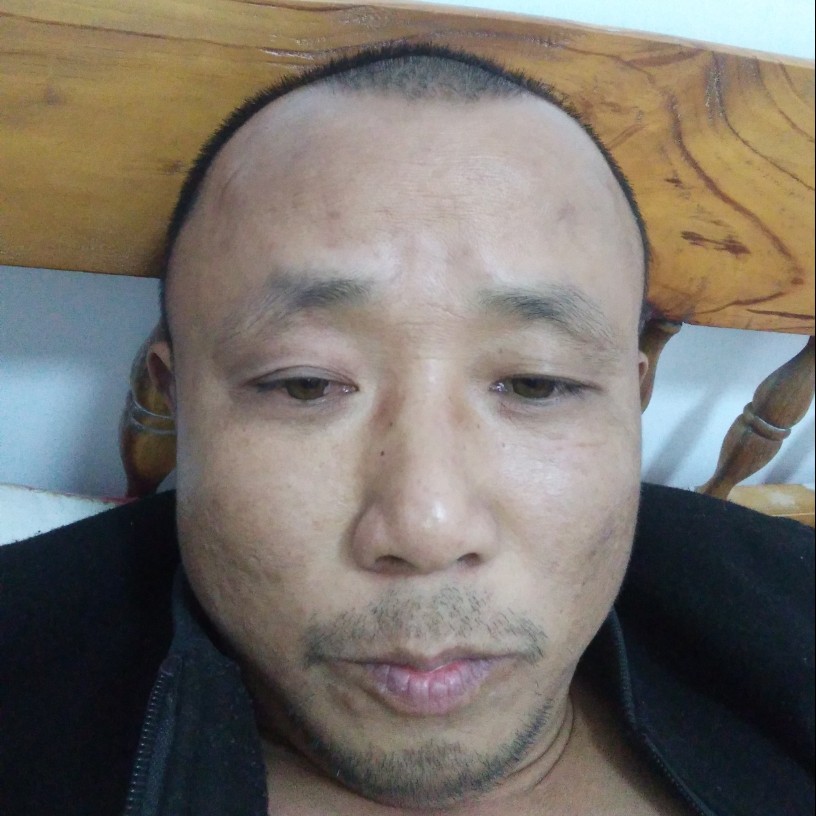 白猫挽手健康的照片