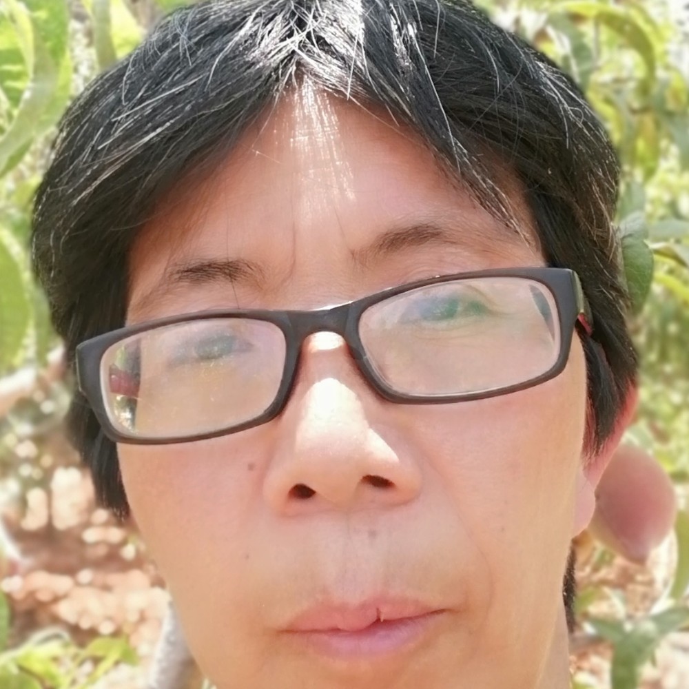 结实相许夕阳的照片