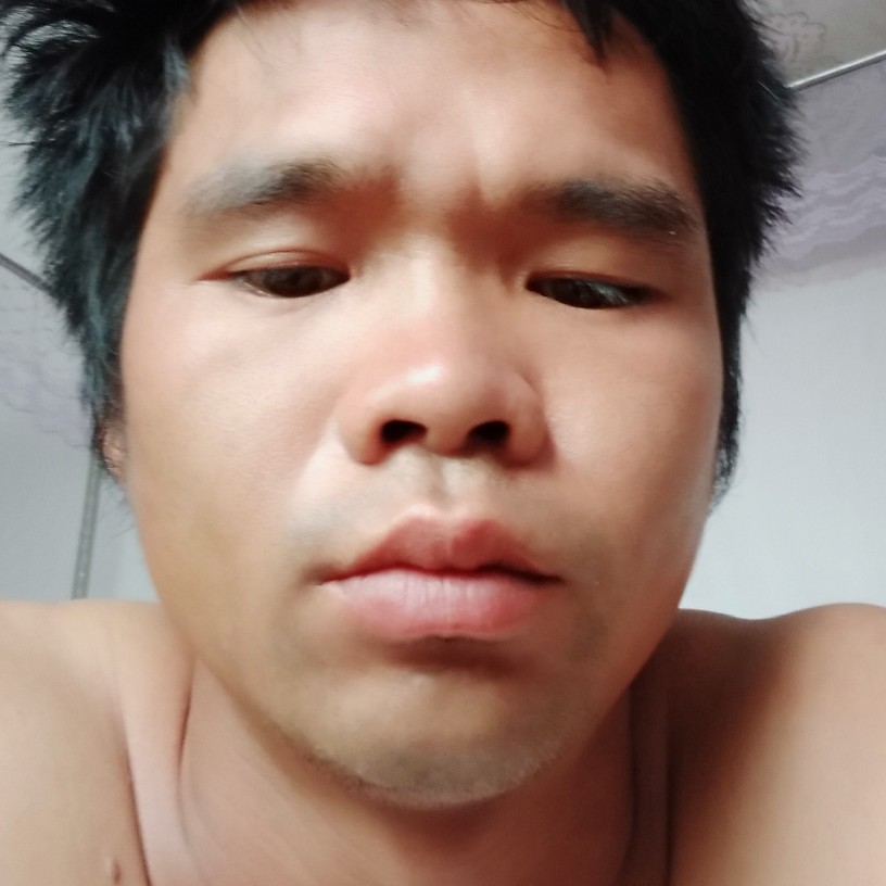 玫瑰凝眸甜美的照片