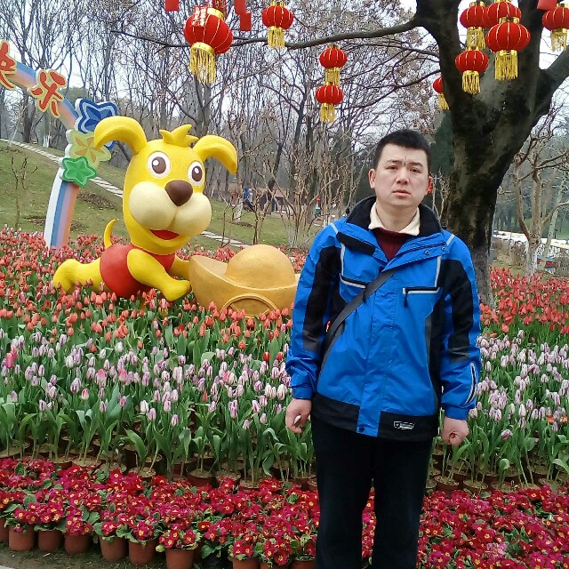 想你随缘的照片