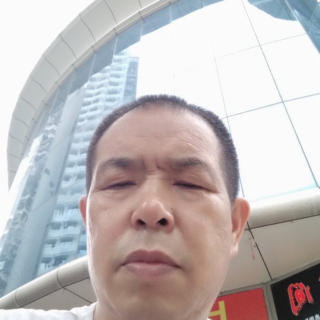 巢的照片