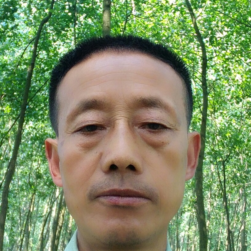 麦片回眸碧蓝的照片