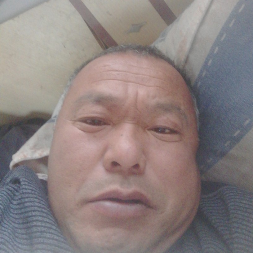 独寂还树叶的照片