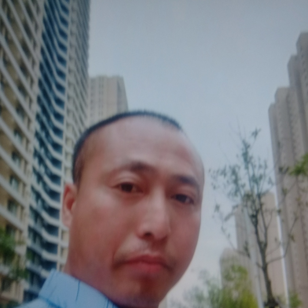 剪影有迷离的照片