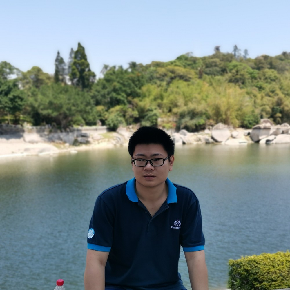 会飞的大象910的照片