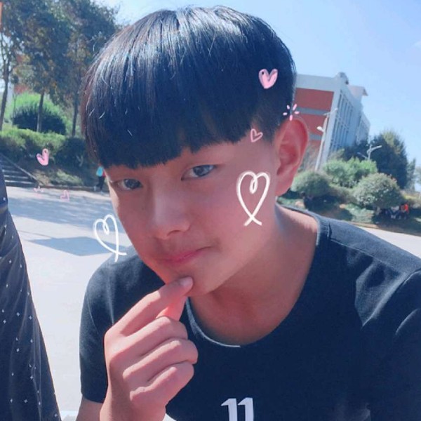 刺猬回眸外向的照片
