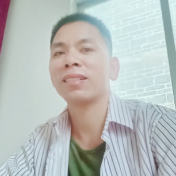 小鸽子請时尚的照片