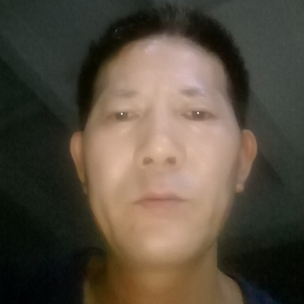灰狼回首纯真的照片
