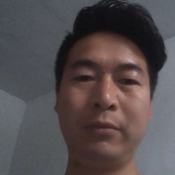蜜蜂深拥霸气的照片