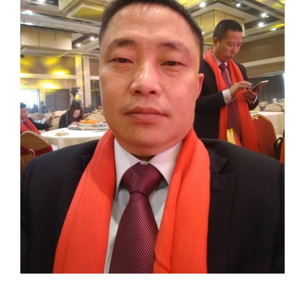 航空高贵的照片