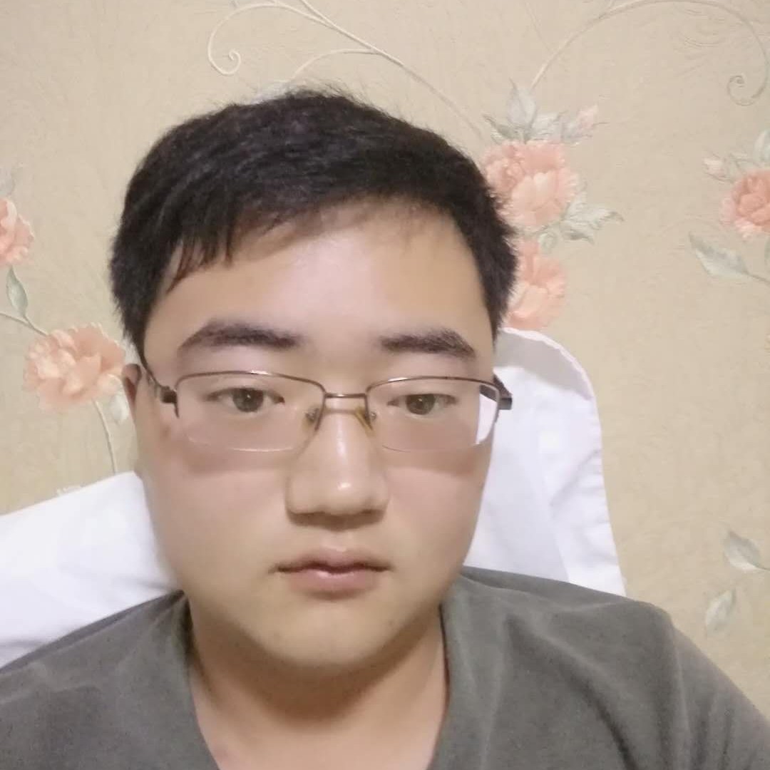 小海豚迎微笑的照片