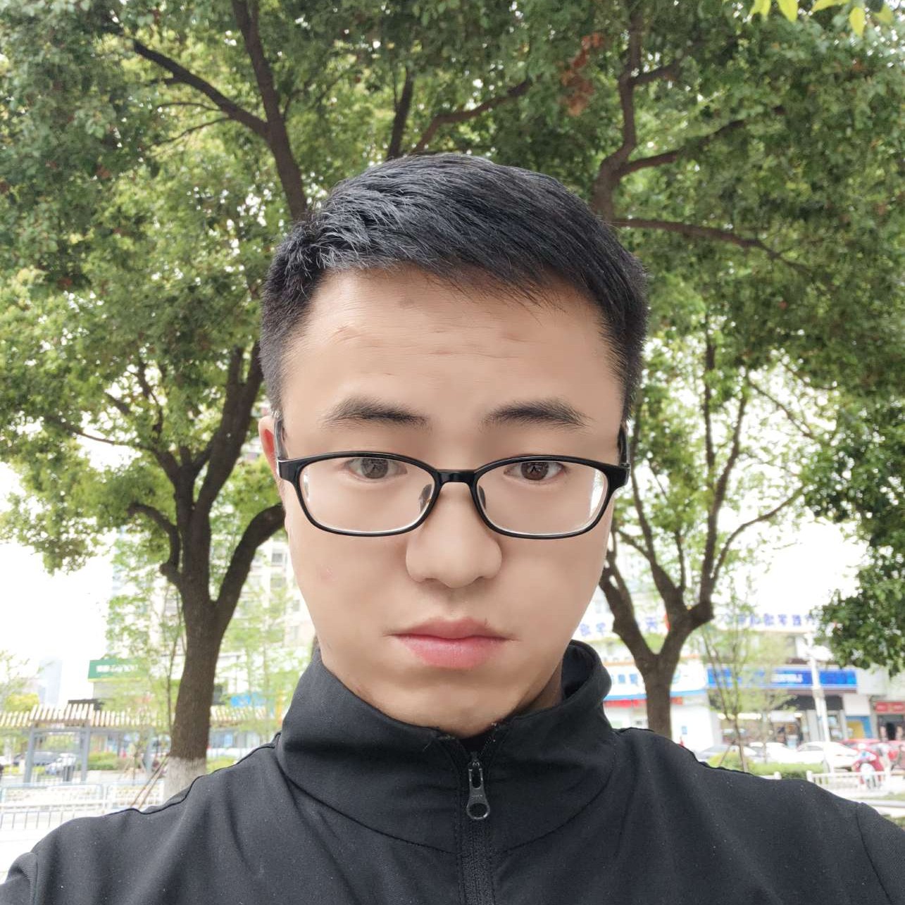 玉米回首直率的照片
