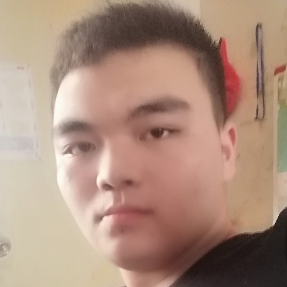 纯属虎鲨的照片