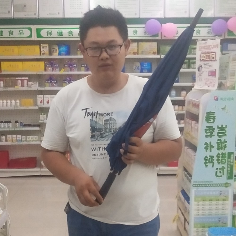 乌龟现实的照片