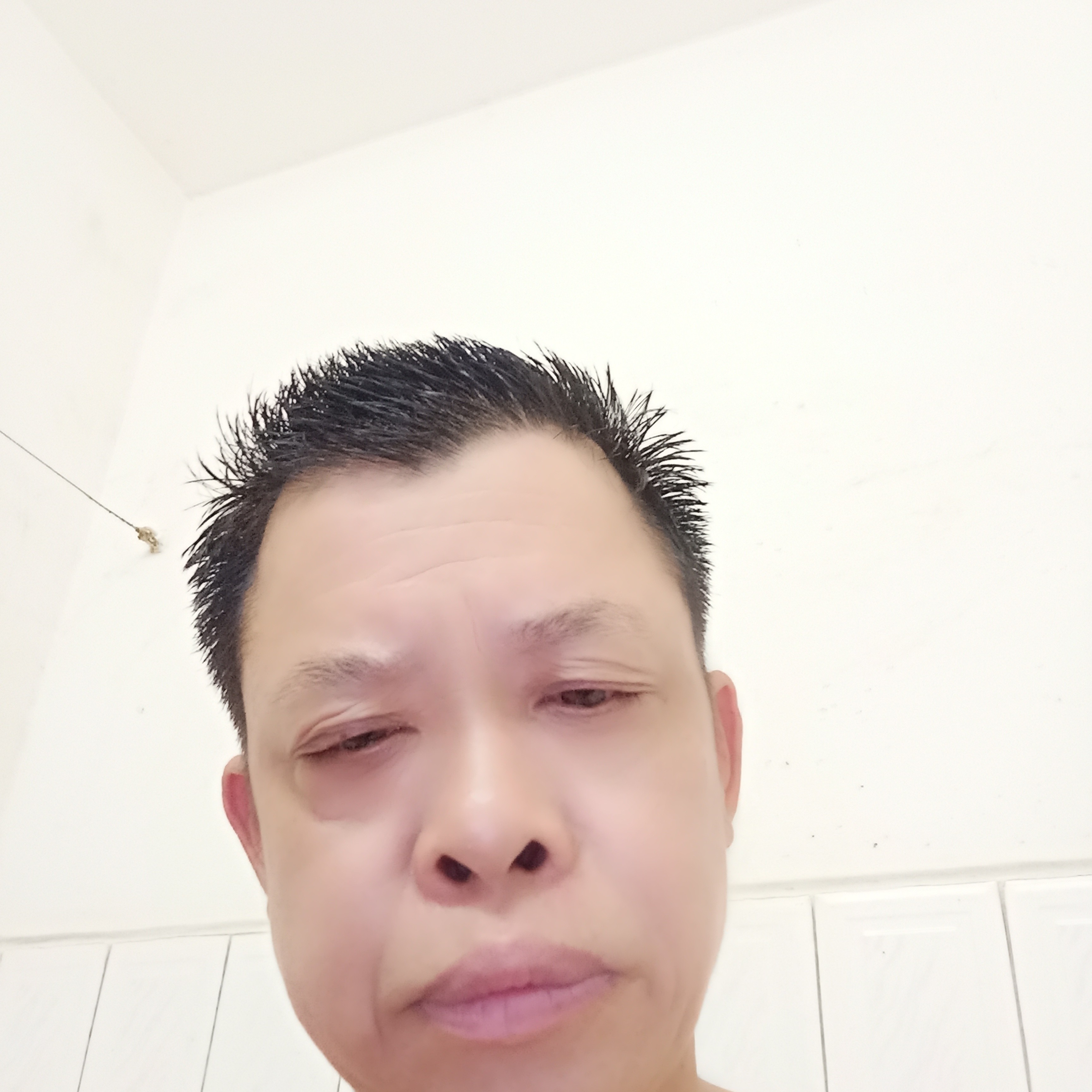 机灵爱恋大地的照片