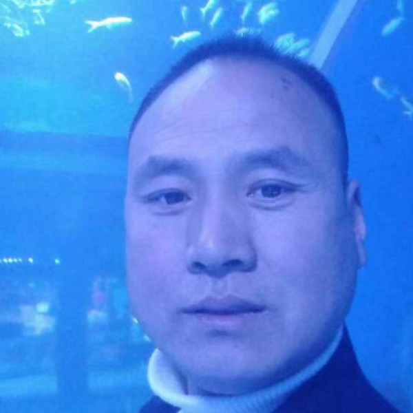 孤枕难眠梦想有家的照片