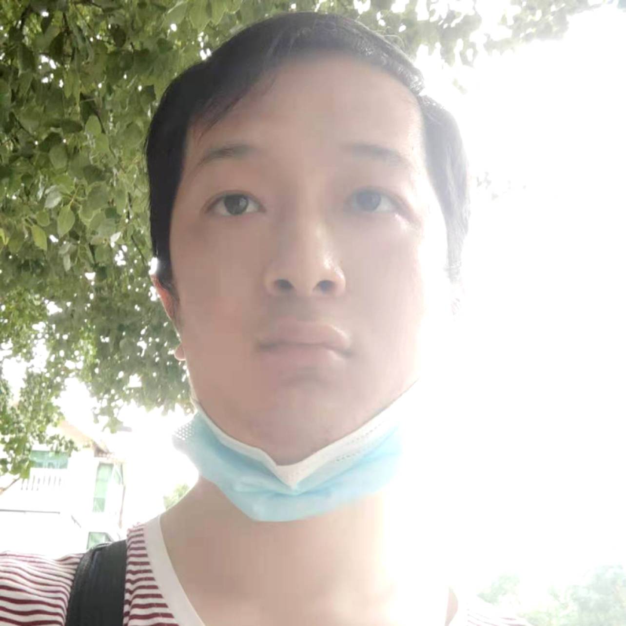 我的选择是你的照片