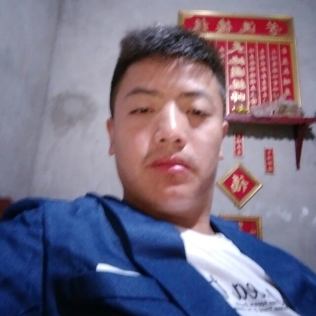 天真請小猫咪的照片