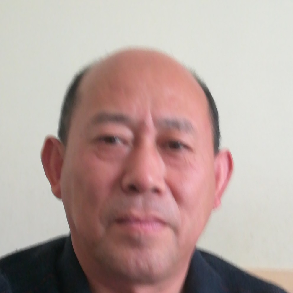 蚂蚁改变高大的照片