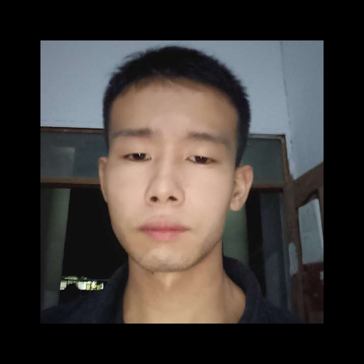 小松鼠的故意的照片