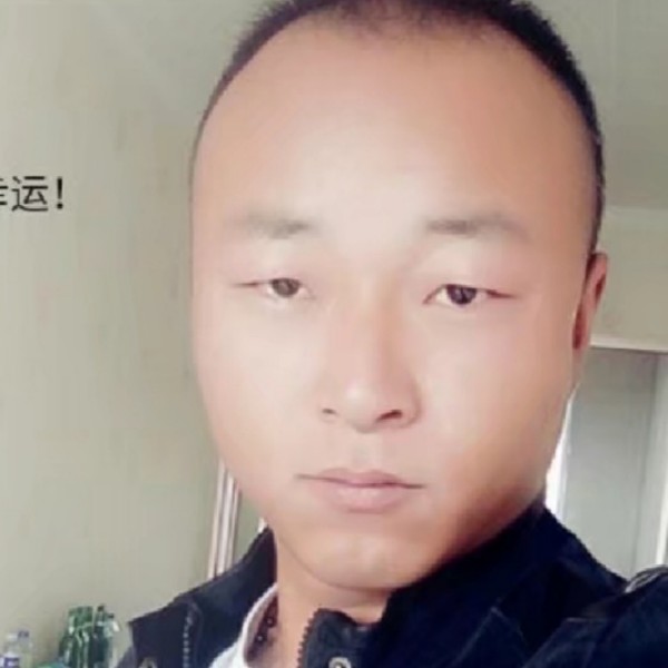 内向宝马的照片