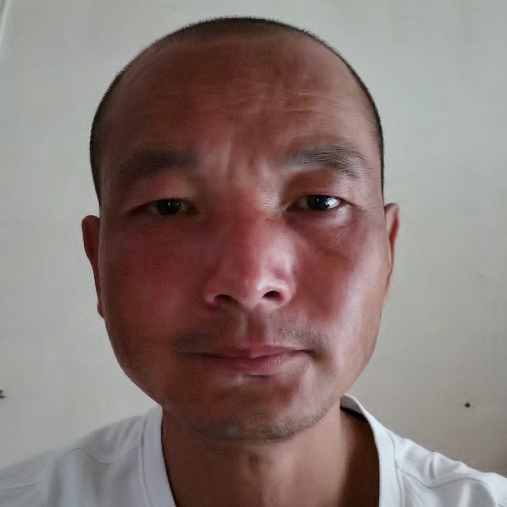 曾经失去的自由的照片