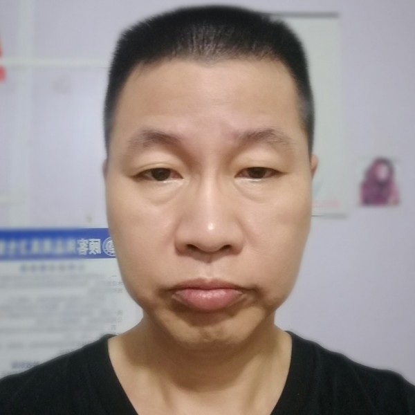流浪的树叶的照片