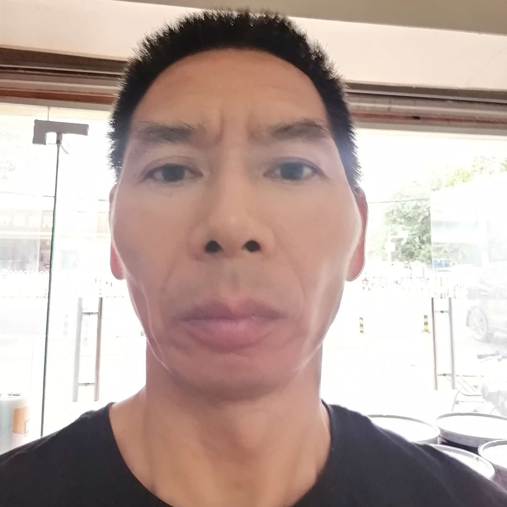 大树放弃个性的照片