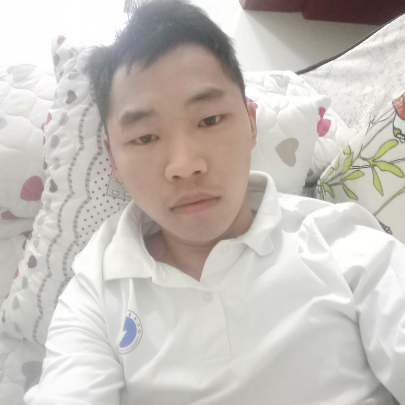 卡布奇诺的小天鹅的照片