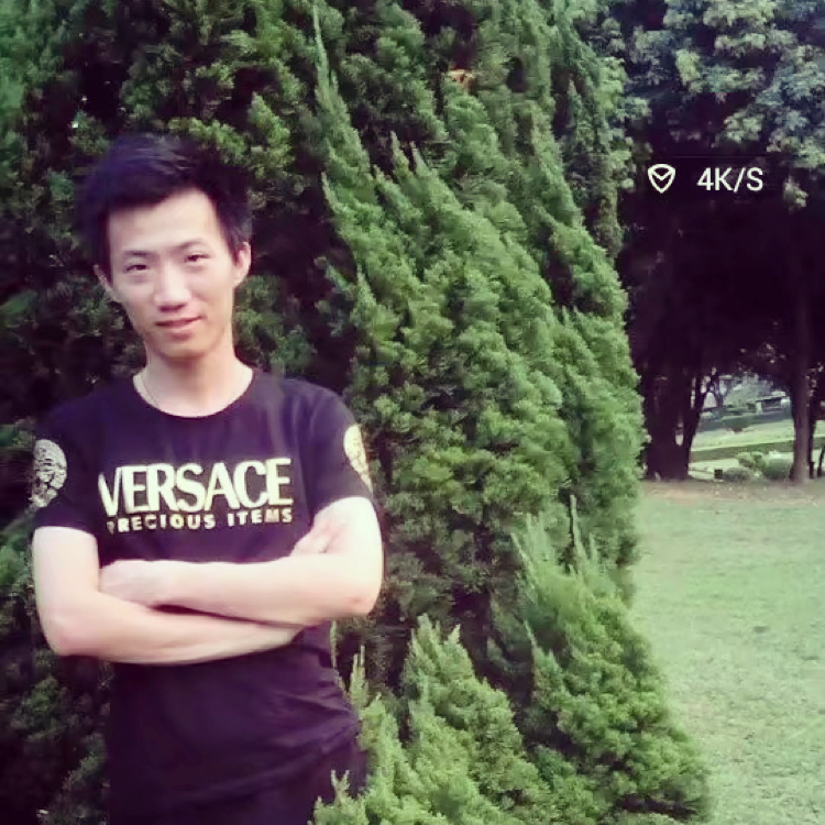 坚强的含羞草的照片