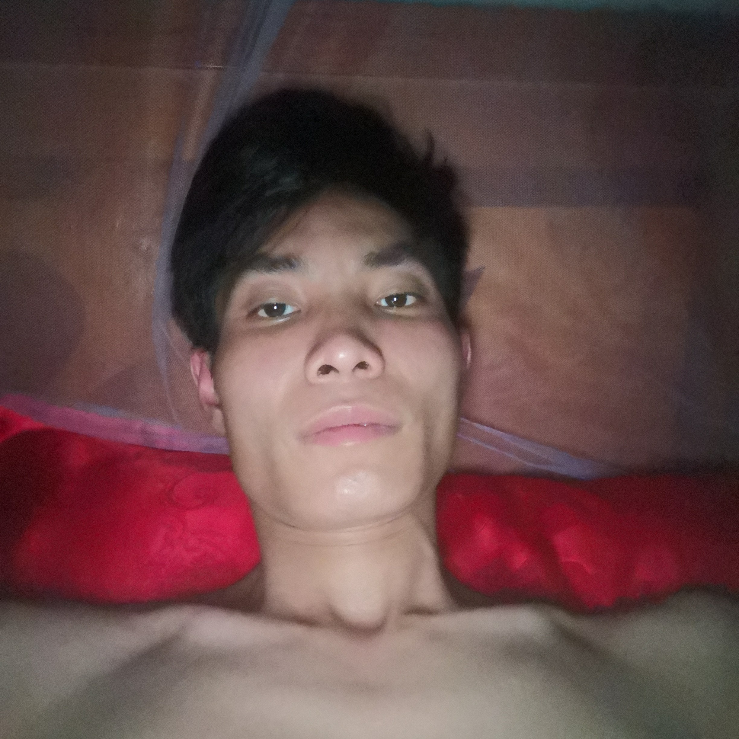 陶醉漫步冷月的照片
