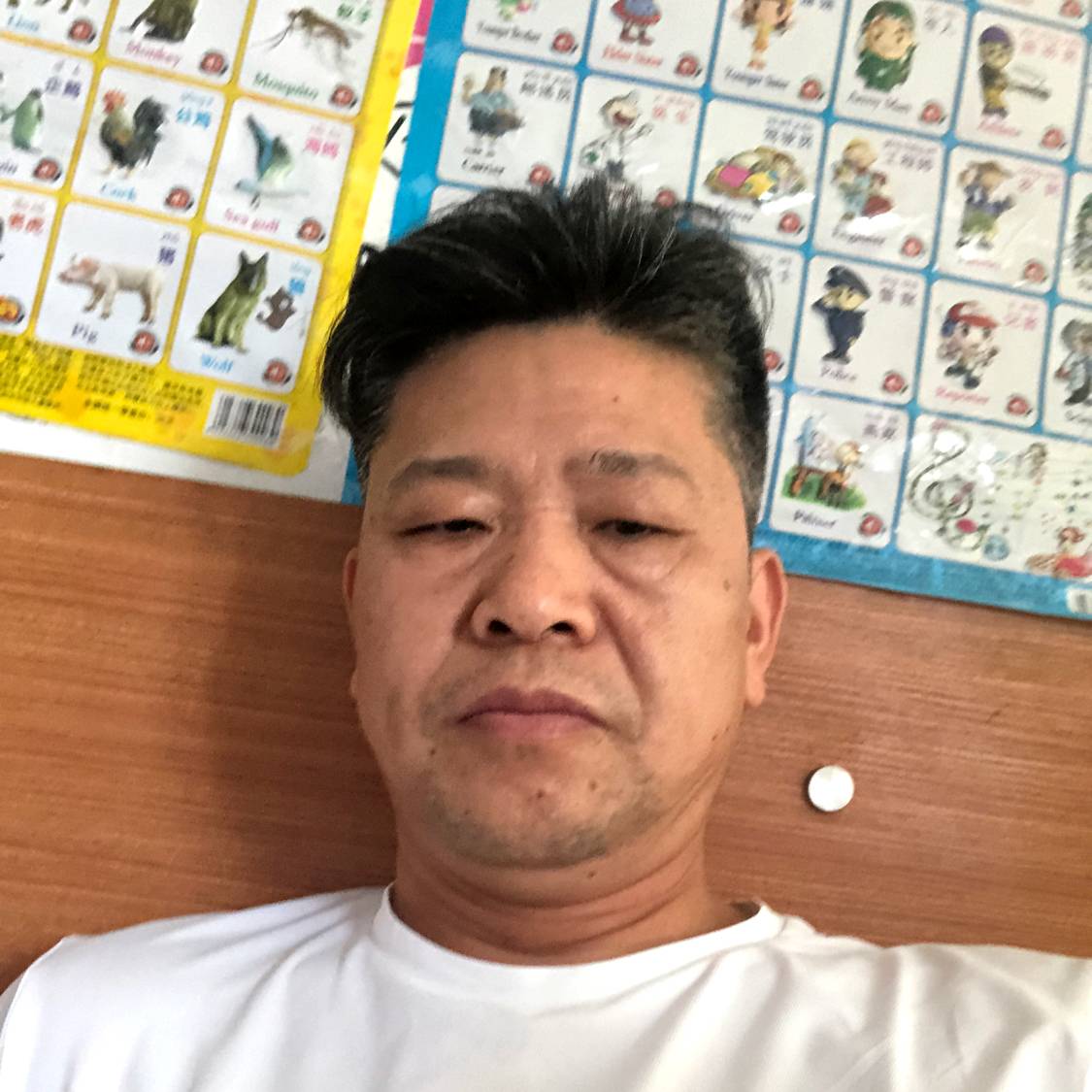 黑夜改变故意的照片