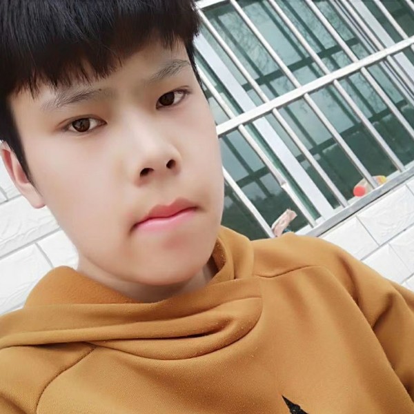 石头泪了的照片