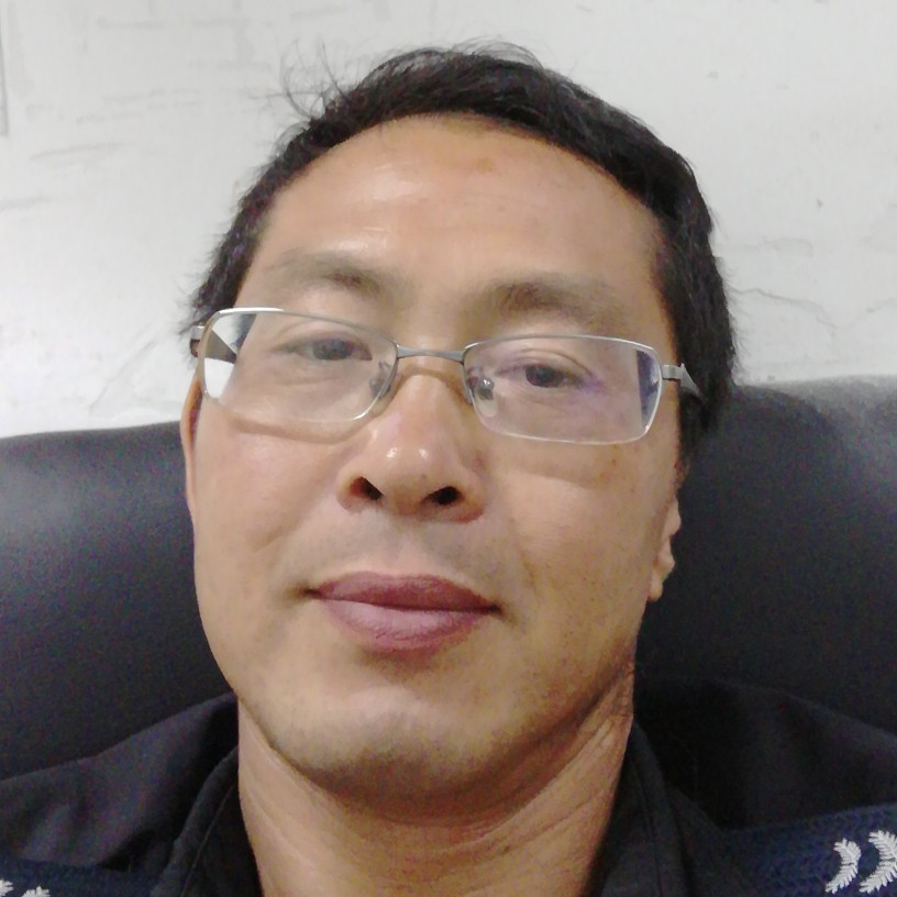 阳光辉映的照片