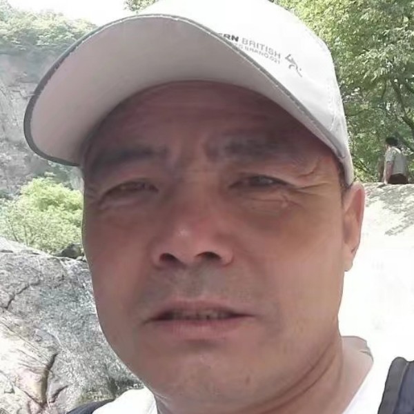 蛋挞柔弱的照片