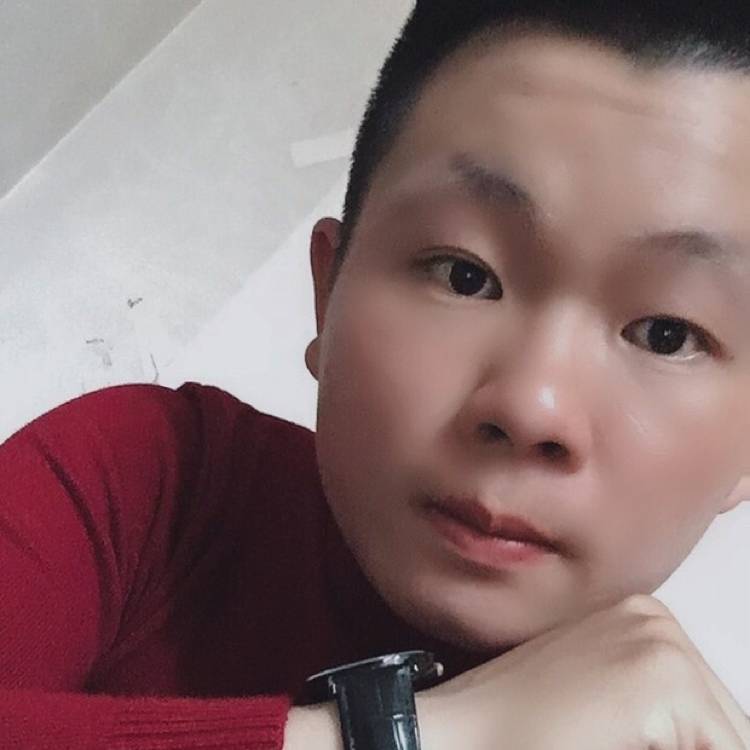 幻灭向早晨的照片