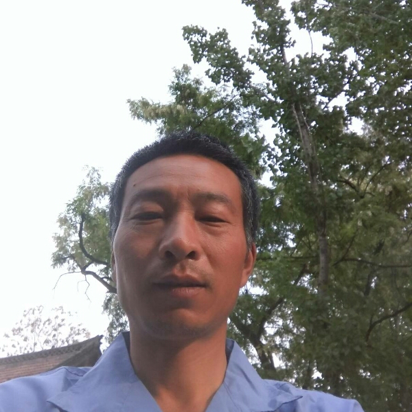 长情踢皮带的照片