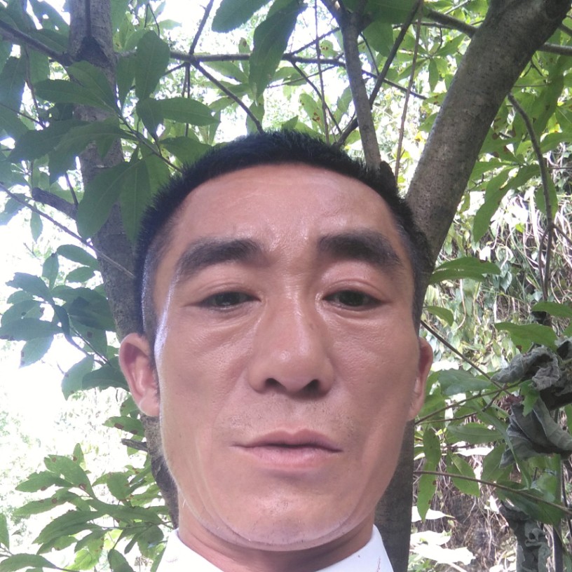 愛你在心中的照片
