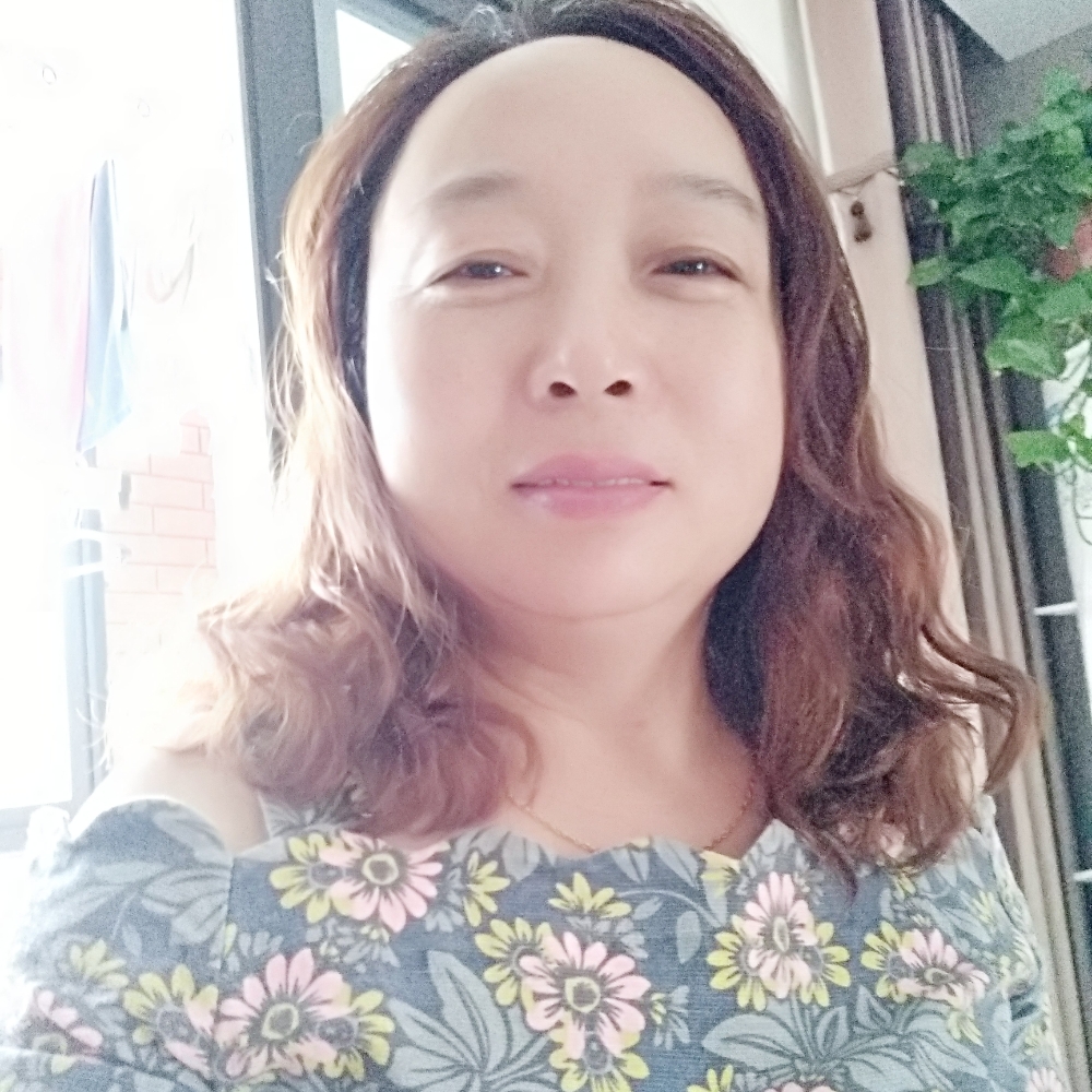 太阳花的照片
