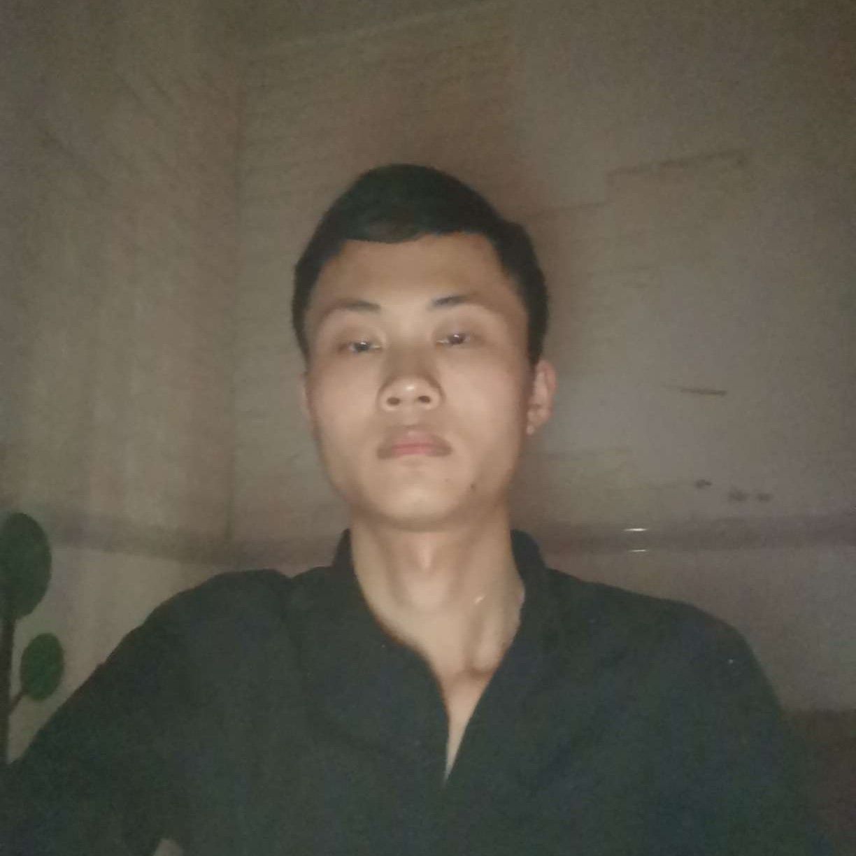 发夹漫步丰富的照片